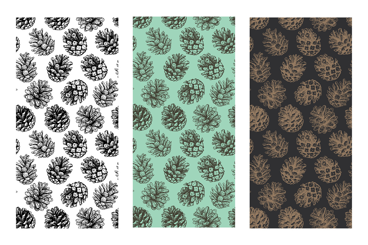 Winter botanical patterns, a Seasonal Illustration by Robusta (Photo 8 of 8)
