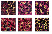 Burgundy and Gold Leopard Digital Pa, an Illustration by Designworld (Thumbnail 4 of 5)