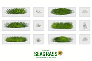 Dynamic Seagrass Brushes, a Brush Add-On by Mohamed Saber (Thumbnail 5 of 6)