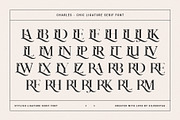 Charles - Chic Ligature Serif Font, a Serif Font by SilverStag Type Foundry (Thumbnail 26 of 31)