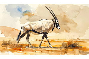 An oryx walking across desert sands, an Animal Photo by Igor Tichonow