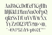 Pavon - 6 Tropic Family, a Serif Font by Dharmas Studio (Thumbnail 14 of 16)