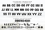 Book Launch, a Script Font by FreshTypeINK (Thumbnail 5 of 8)