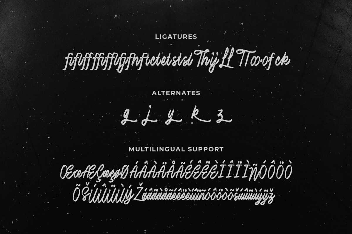 Lubang Hitam - Handbrush Script, a Script Font by Typefactoryco (Photo 3 of 8)