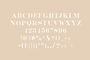 Kara & Co - Fashion Serif Font, a Serif Font by ParadiseStore (Thumbnail 5 of 5)