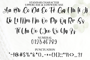 Stylish Handmotion, a Handwritten Font by FreshTypeINK (Thumbnail 7 of 8)