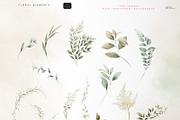 Spring greenery, floral cliparts, a Texture Illustration by ollalya (Thumbnail 12 of 14)
