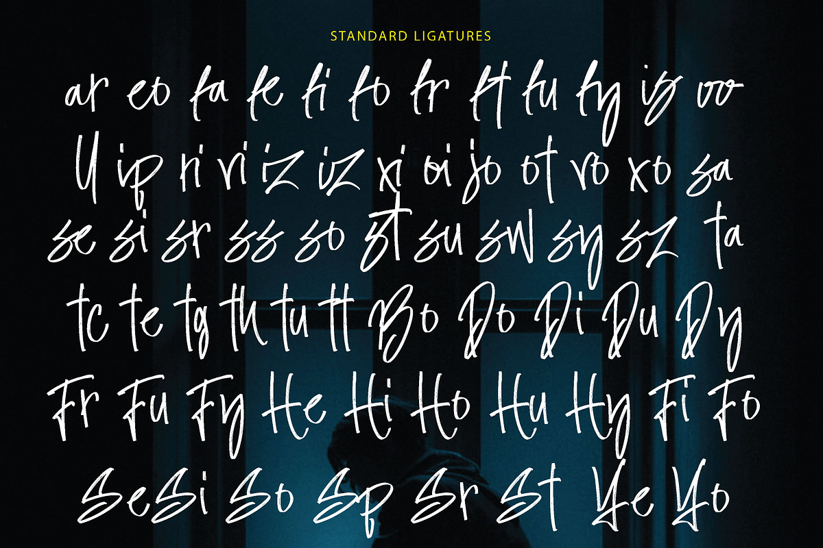 Bipolize Brush, a Handwritten Font by Eltypesstudio (Photo 3 of 12)