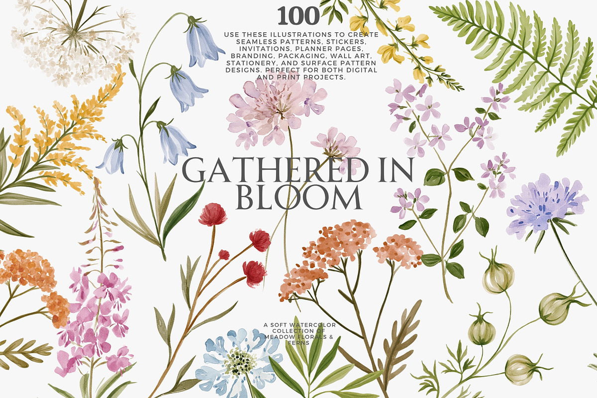 a wildflower meadow clipart set, a Decorative Illustration by Patishop Art (Photo 1 of 12)