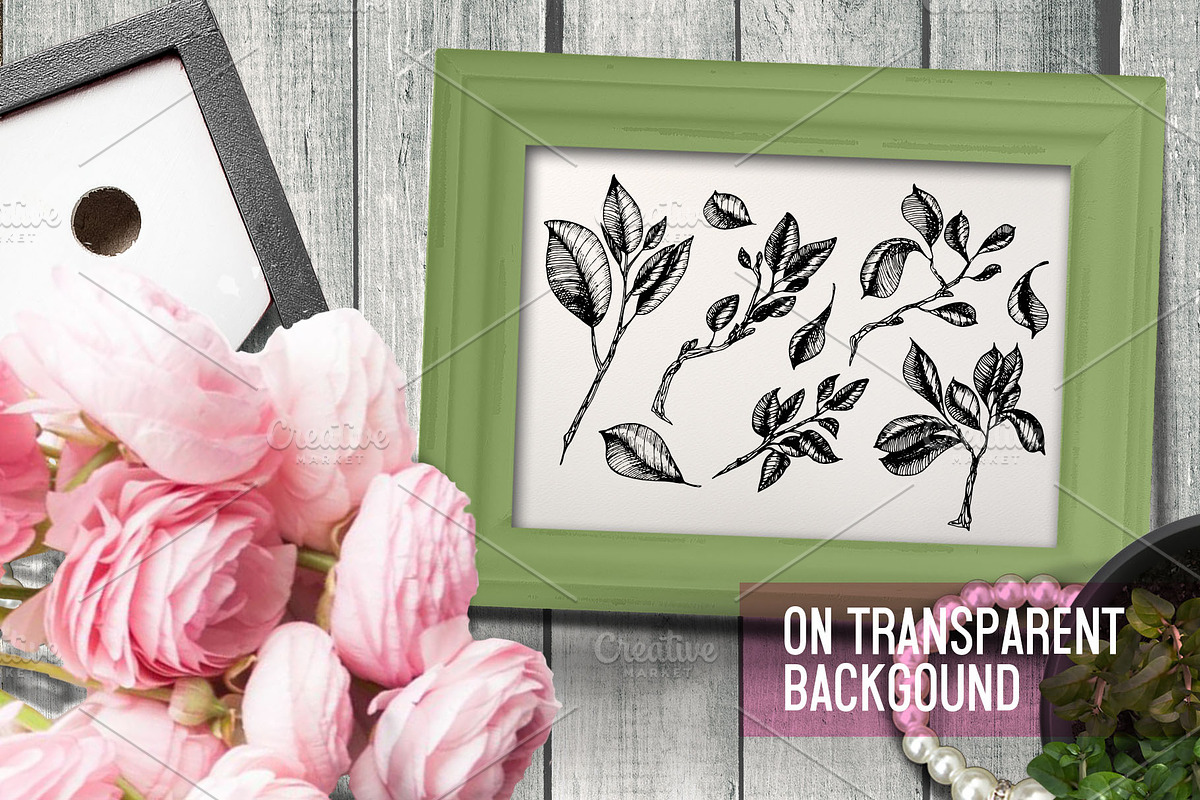 Magnolia in engraving style. Part 2, a Decorative Illustration by Alena Kaz (Photo 3 of 5)