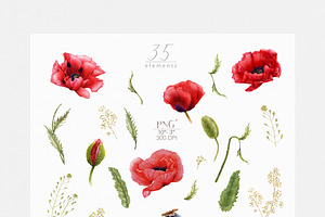 Red Poppies Watercolor Clipart