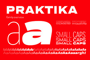 Praktika