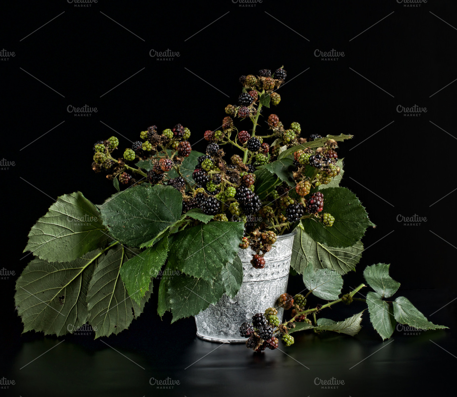 bouquet of blackberry, a Food & Drink Photo by Verlena's Corner