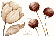 Watercolor Boho Fall Dusty Rose Set, a Decorative Illustration by Carol Lozove (Thumbnail 33 of 74)