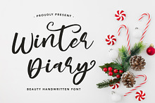 WinterDiary- Beauty Handwritten Font