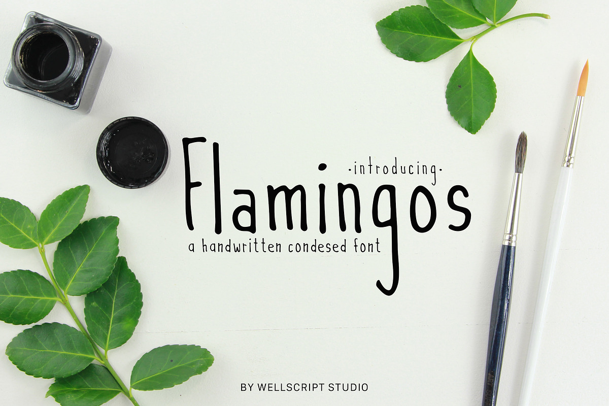 Flamingos - A Condesed Font, a Sans Serif Font by Wellscript Studio (Photo 1 of 8)