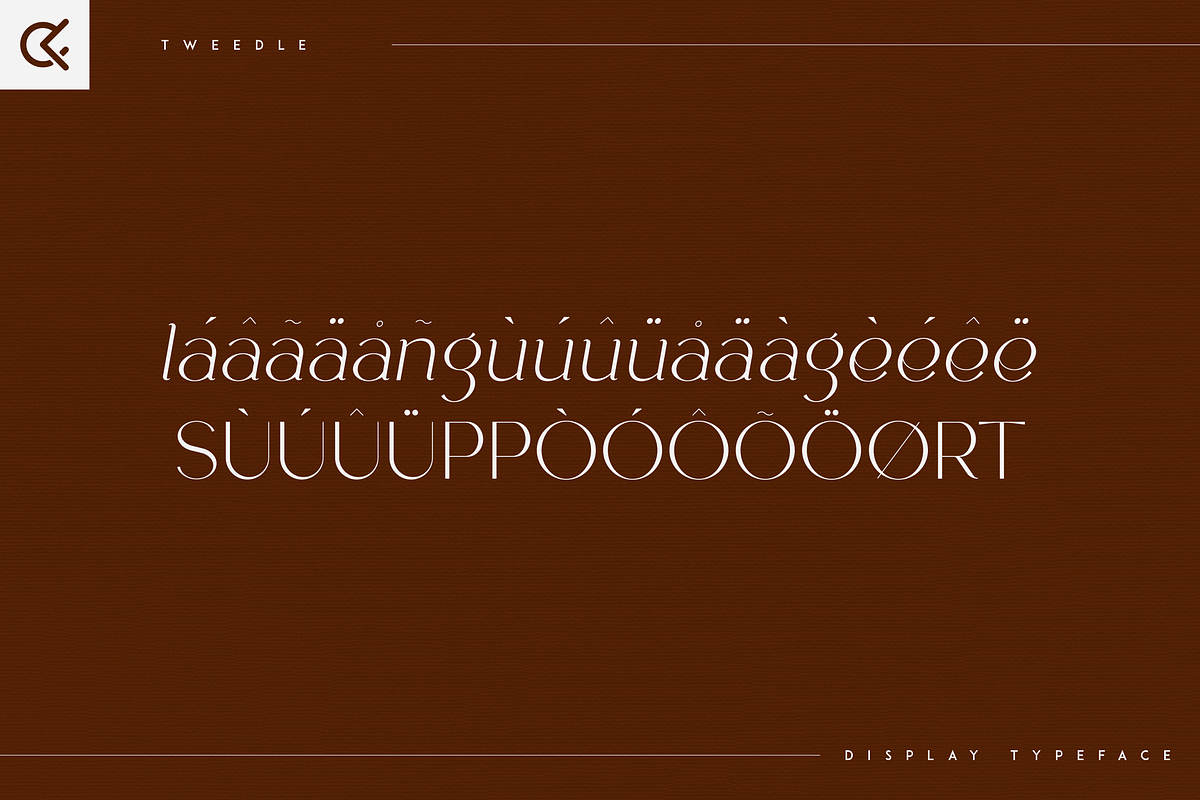 Tweedle - Display Typeface, a Serif Font by Only Fonts (Photo 9 of 10)