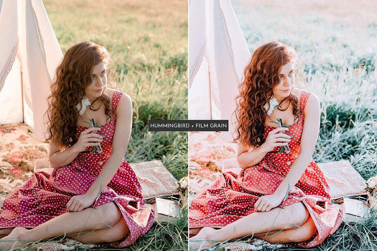 HummingBird Lightroom Presets Pack, an Action Add-On by PixelHive Pro (Photo 2 of 9)