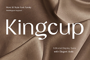 Kingcup - Editorial Display Sans, a Sans Serif Font by Fridaytype (Thumbnail 1 of 13)