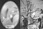Darkroom - Analog Photo Toolkit, a Preset Add-On by MiksKS (Thumbnail 14 of 27)
