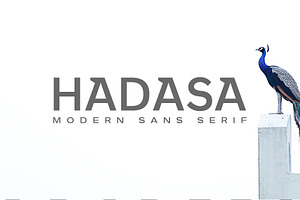 Hadasa Sans Serif Font Family