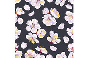 Apricot Branches Big Floral Set, an Illustration by MarynaPetrovska (Thumbnail 4 of 23)