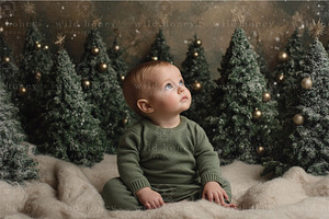 Christmas Baby Digital Backdrop