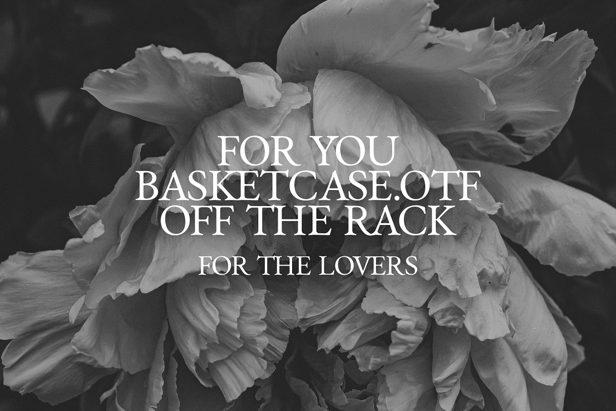 Basketcase - Modern Serif Font, a Serif Font by Off The Rack © (Photo 5 of 9)