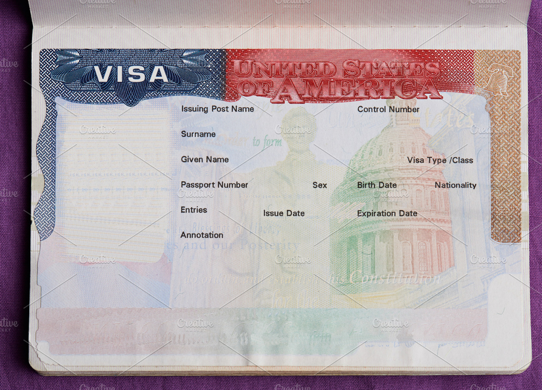 Blank american visa, a Business Photo by PixieMe