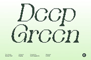 Qianzy Pixel, a Serif Font by Craft Supply Co. (Thumbnail 3 of 8)