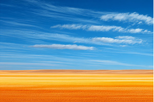 The background of a land road on a, a Nature Photo by ZinetroN