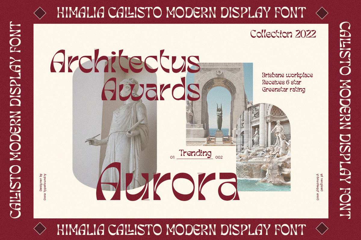 Himalia Callisto, a Serif Font by Dora Typefoundry (Photo 9 of 11)