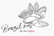 Nuts &  Health snacks, a Food Illustration by Ann Astro (Thumbnail 10 of 12)