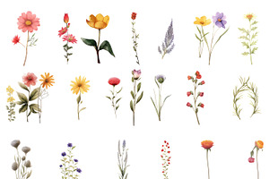 Botanical Wildflowers Clipart Bundle