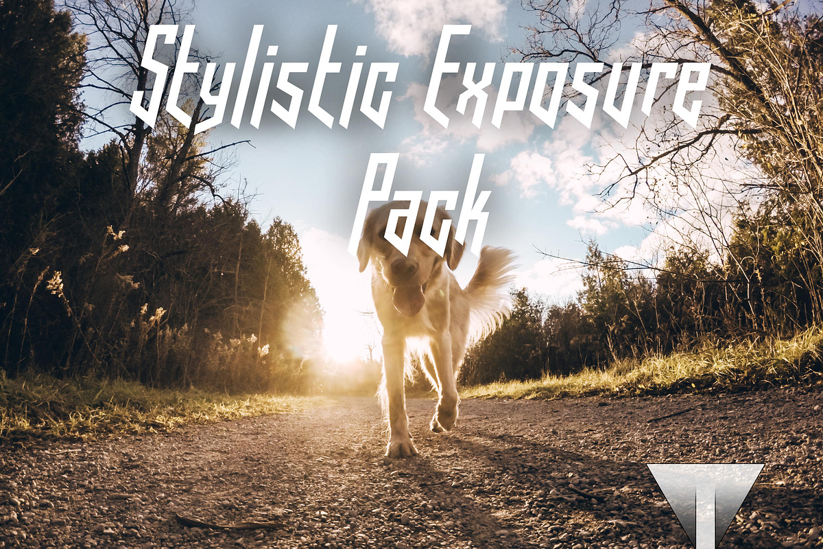 Tonacious Stylistic Exposure Pack, an Action Add-On by Tonacious (Photo 11 of 11)