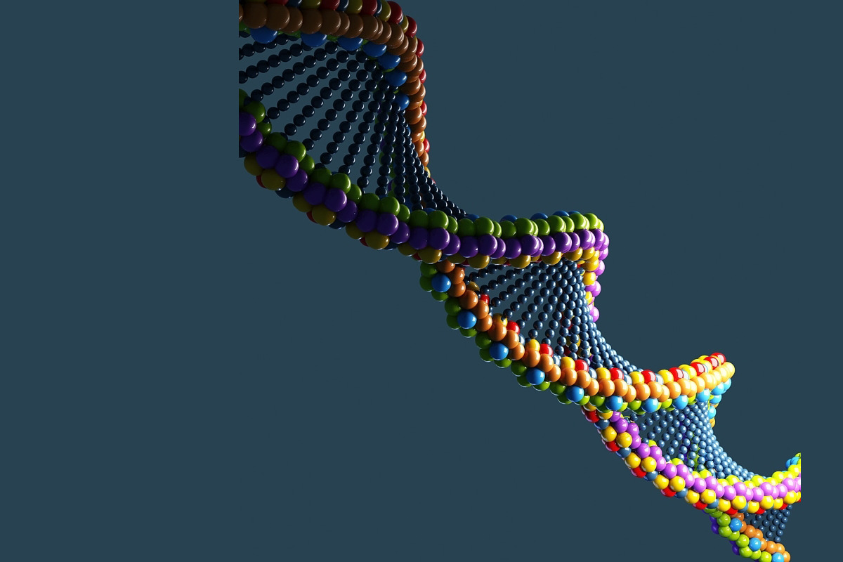 DNA, an Animal 3D Model by Giimann (Photo 1 of 5)