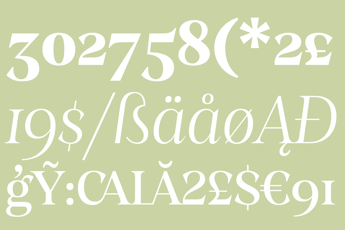 Stability, a Serif Font by OceaneM (Photo 5 of 7)