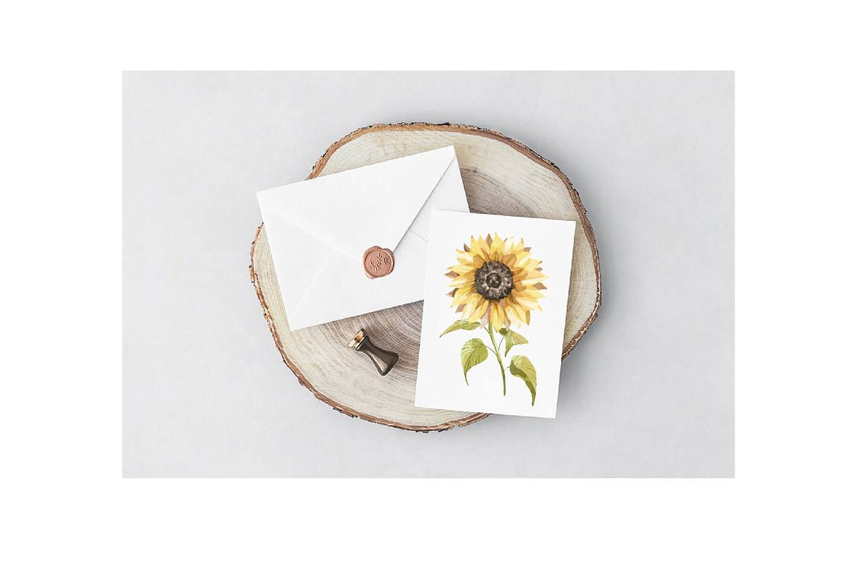 Sunflowers Watercolor Clipart., a Decorative Illustration by NKTKNS (Photo 5 of 6)