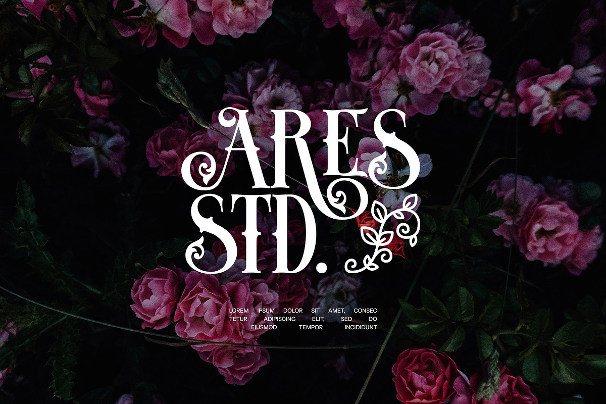 Blistao Tatto Serif Font, a Serif Font by Perfectype (Photo 4 of 8)