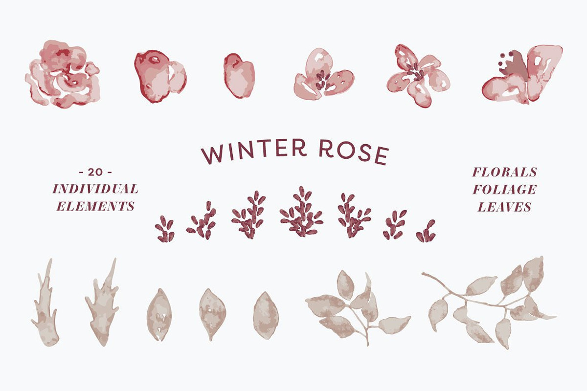 Winter Rose Watercolor Collection, a Seasonal Illustration by Laurel Autumn (Photo 3 of 5)