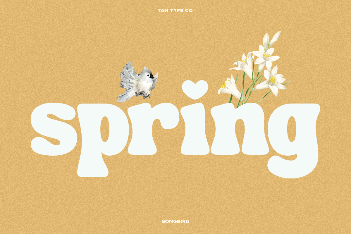 TAN - SONGBIRD, a Font by TanType (Photo 6 of 16)