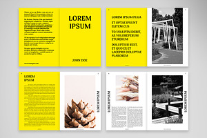 Portfolio And Curriculum Brochure