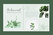 Botanica Watercolor Greenery Leaves, a Decorative Illustration by Momo Studio (Thumbnail 7 of 16)