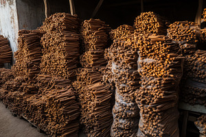 Piles of cinnamon sticks stacked in, a Photo by Iftikhar Alam