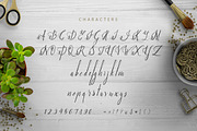 Paradise, a Script Font by Heroglyphs Studio (Thumbnail 2 of 7)
