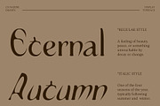 CS Nadine Drawn, a Serif Font by Craft Supply Co. (Thumbnail 2 of 8)