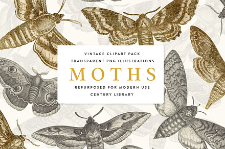 Vintage Moth Illustration Pack, an Animal Illustration by Century Library