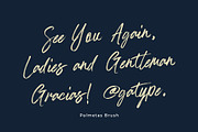 Palmetas, a Handwritten Font by Gatype (Thumbnail 10 of 10)