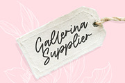 Georado - Monoline Handwritten Font, a Script Font by Balpirick Studio (Thumbnail 5 of 7)