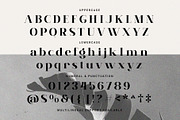 Brume Matinale, a Serif Font by Prioritype Co (Thumbnail 9 of 9)